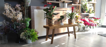 Doğal Ahşap Çiçek Standı - İç Mekan Bitki Standı - Salon ve Balkon Dekorasyonu