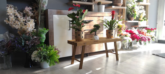 Doğal Ahşap Çiçek Standı - İç Mekan Bitki Standı - Salon ve Balkon Dekorasyonu