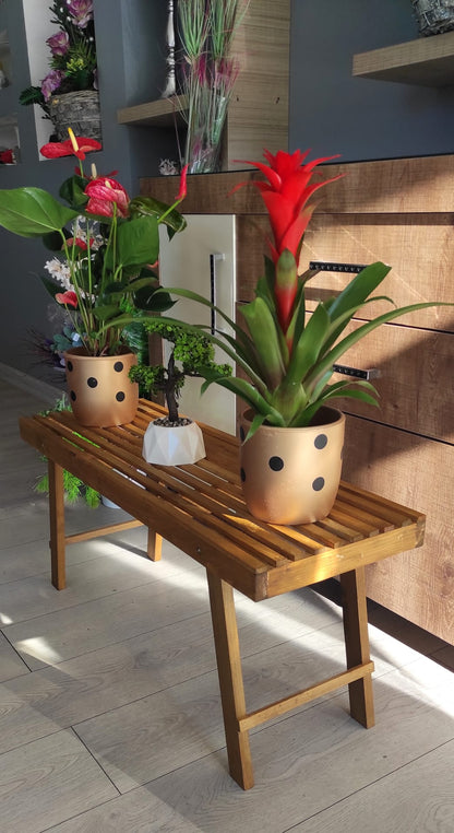 Doğal Ahşap Çiçek Standı - İç Mekan Bitki Standı - Salon ve Balkon Dekorasyonu