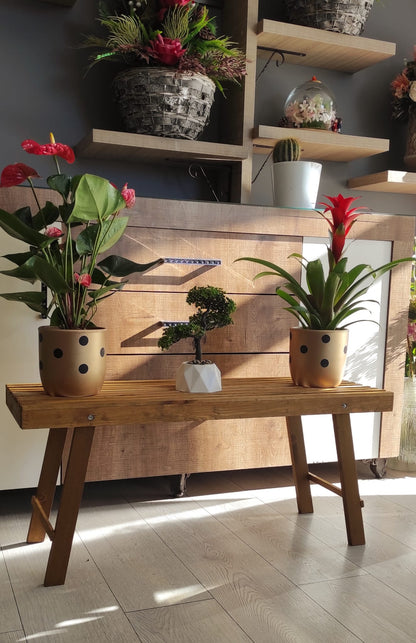 Doğal Ahşap Çiçek Standı - İç Mekan Bitki Standı - Salon ve Balkon Dekorasyonu